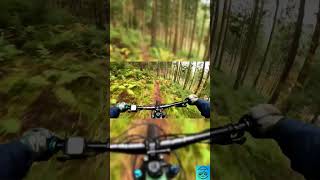 Baiersbronn Trails foryou mtb germany romania bikelife mountainbike viralvideo shorts [upl. by Gib]