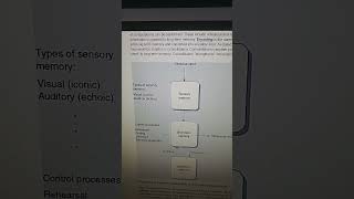 Atkinson and shiffrin modal memory model [upl. by Giana]