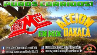 Accion Oaxaca  Puros corridos Mix  Dj FredoMix 2015 [upl. by Hausner]