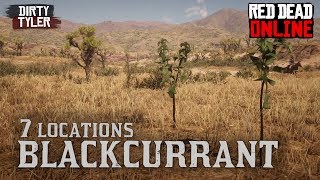 Blackcurrant Locations Red Dead Online [upl. by Aseneg]