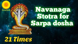 Navanaga Stotra for Sarpa dosha Nagadosha kalasarpa dosha nivarana mantraAnantham Vasukim 21 times [upl. by Hull]