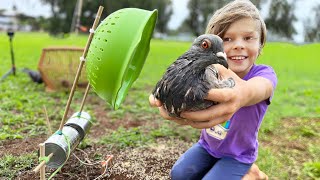 We Trapped Pigeons For Urban Survival Food [upl. by Wilmar252]