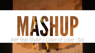 SNAP quotColor of Lovequot feat Alef quotSolquot  MASHUP  2024 [upl. by Artkele356]