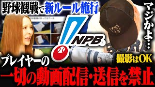 【野球観戦の新ルール】2025年2月から「プレー中の選手写真や動画の配信NG」にSNSで賛否の声が… [upl. by Amehsat]