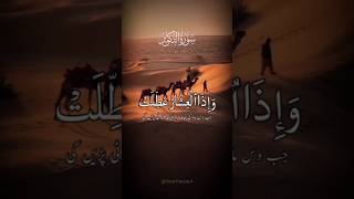 Surah Takwir Ayat 19  Beautiful Recitation By Hamed Alizadeh  Quranic Bliss Quran SurahTakwir [upl. by Nnylakcaj]