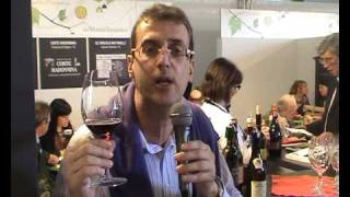 VINITALY 2010 I NUOVI VINI [upl. by Huggins788]