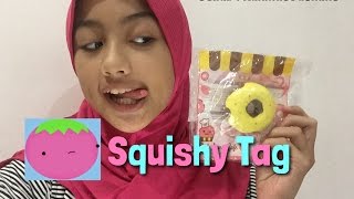 KETCHUPGIRI SQUISHY TAG [upl. by Nylodnew]