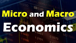 Micro and Macro Economics Explained  Concept and Key Differences [upl. by Cornelie]