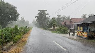 Heavy Rain and Strong Winds for Long Time in Village Life  Rain Sounds Introduction Sleeping [upl. by Damien]