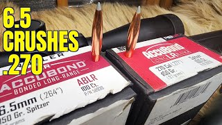 65prc vs 270win vs Pork Shoulders Nosler 150gr ABLR [upl. by Brucie]