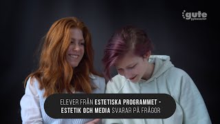 Elever från Estetiska programmet  inriktningen Estetik amp media svarar på frågor [upl. by Tayyebeb]