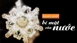 Sách Nói Bí Mật Của Nước  Chương 1  Masaru Emoto [upl. by Nnave]