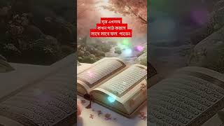 সূরা এখলাস কখন পাঠ করলে সাথে সাথে ফল পাবেন shortvideo youtube trending surah shortsfeed [upl. by Emalee]