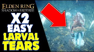 ELDEN RING DLC LARVAL TEAR LOCATION x2  Elden Ring Shadow of the Erdtree PS5 Gameplay EldenRing [upl. by Aelyk563]