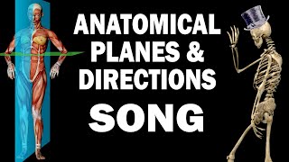 ANATOMICAL PLANES AND DIRECTIONS SONG [upl. by Kassandra929]