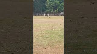 13 years amaan scored 50 runscricket trending cricketlover viral shorts [upl. by Rehpetsirhc425]