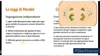 Lassociazione dei geni 1  la teoria cromosomica dellereditarietà [upl. by Careaga]