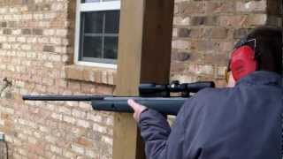 shooting my GAMO break barrel 177 Air Rifle [upl. by Efrem]