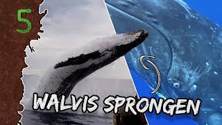 Freeks 5  Walvis sprongen [upl. by Ralip]