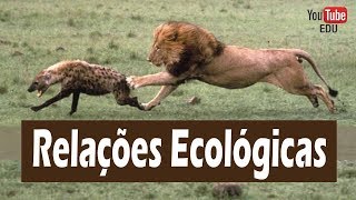 Relações Ecológicas entre os seres vivos [upl. by Yrekaz]