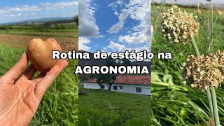 Um pouco da minha rotina no estágio de AGRONOMIA 🌱🚜 [upl. by Eyssej602]