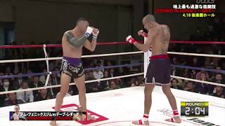 Dave Leduc Vs Adem Yilmaz  Tokyo Japan 🇯🇵 Highlight 1842017 [upl. by Erin]