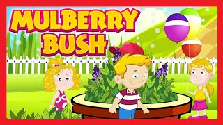 A Nursery Rhymes Video for Kids amp Toddlers Mulberry Bush Rhyme for Kids [upl. by Elletnohs200]