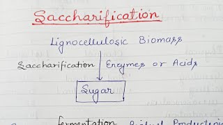 Saccharification Use of cellulosic feedstock for alcohol production [upl. by Lanoil]