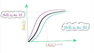 Oxygen Hemoglobin Dissociation Curve with a mnemonic [upl. by Leuamme]