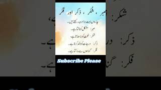 Ye duniya me nizamuddinexplore shorts virel shortsviral [upl. by Khosrow]