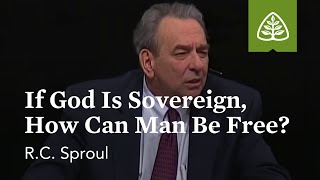 RC Sproul If God Is Sovereign How Can Man Be Free [upl. by Ahsercel]