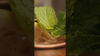 Why Moscow Mule is called a Moscow Mule cocktails funfacts [upl. by Eceinahs]