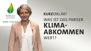 kurzerklärt Was ist das Pariser Klimaabkommen wert [upl. by Thorne479]