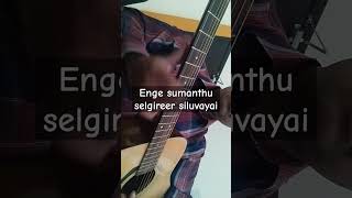 Enge sumanthu selgireer siluvayai  Easter hymns Christian viral worship devotional songs guitarkbd [upl. by Singh]