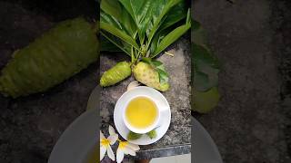 Noni Tea in 60 sec 😍 🌿 shorts cookingshorts [upl. by Esaele155]