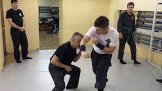 GENDAI GOSHINJUTSU STREET SELFDEFENCE WITH SHORT STICK [upl. by Edyak]