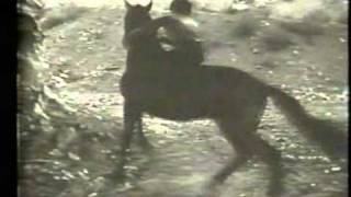 Frankie Darro in The Devil Horse  1932  clip 2 [upl. by Gee]