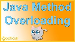 Overriding the Object equals Method  Java Override Example  Comparing Objects  APPFICIAL [upl. by Dercy]