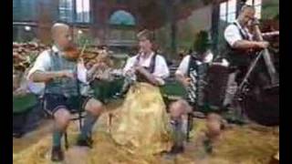 Elstätzinger Musikanten  Windhofer Polka 2004 [upl. by Festa]