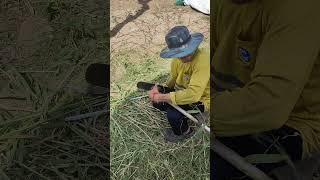 Change metal blade for grass trimmer [upl. by Yerahcaz]