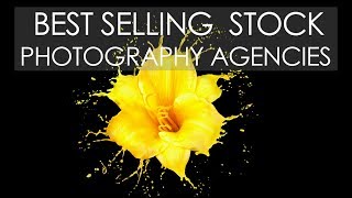 Best SELLING Stock PHOTOGRAPHY Agencies in the last 12 months [upl. by Eelirem130]