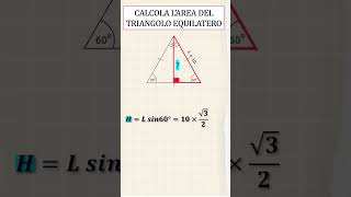 TEST MATEMATICA 2 triangoli trigonometría [upl. by Kcub10]