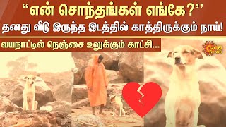 Wayanad Landslide  💔Dog’s Heart Broken Moment  Kerala Flood  Kerala  Wayanad Flood  Sun News [upl. by Octavia]