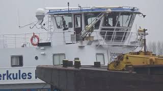 Das stärkste Schubboot auf dem Rhein Die Herkules II ex A Auberger mit 6000 PS [upl. by Ahsinan166]