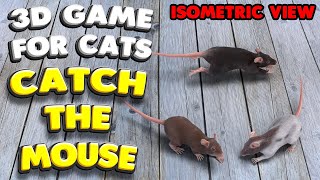 3D game for cats  CATCH THE MOUSE isometric view [upl. by Charlena]