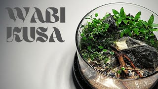 WabiKusa style terrarium in a cloche with aquatic plants [upl. by Oberg]