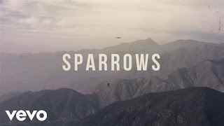 Jason Gray  Sparrows Official Lyric Video [upl. by Patric]