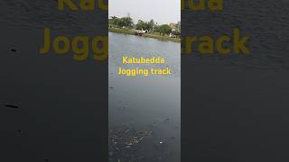 Katubedda jogging track in Sri Lanka 🇱🇰 music nature shorts lake water [upl. by Gomar]