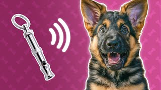 Dog Whistle Sound  Ultrasonic Sound for Dogs [upl. by Bittner329]