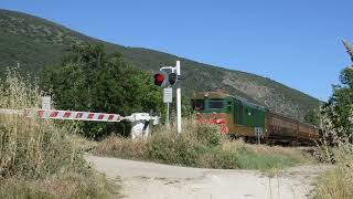 TRENO STORICO SULLA TRANSIBERIANA DITALIA 06062024 [upl. by Okier]